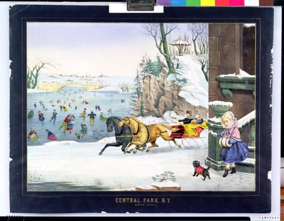 Central Park, New York by H. Schile